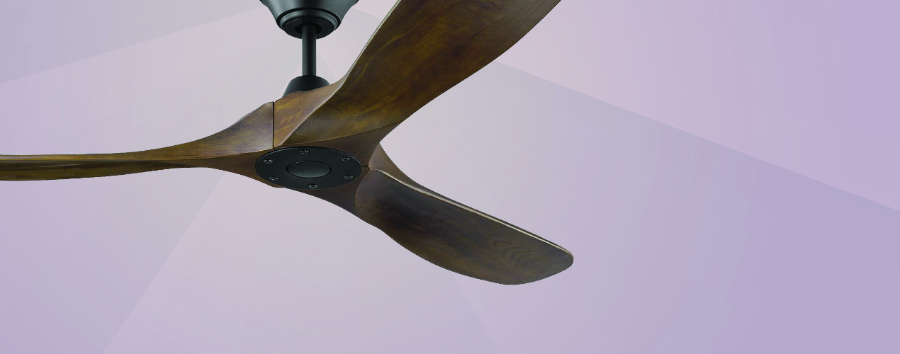 Ceiling Fans